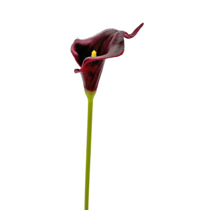 GNW Wine Artificial Calla Lily LZ-179