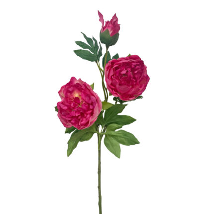 GNW Fuchsia Artificial 3-head Garden Rose Real Touch QH-115