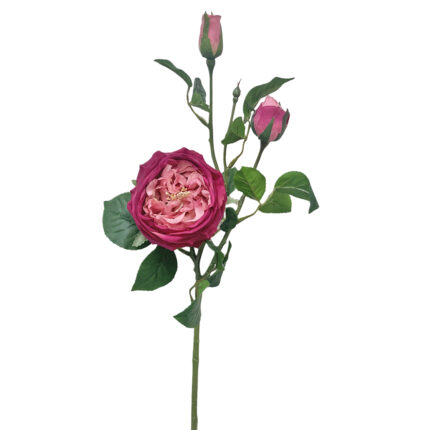 GNW Fuchsia Artificial David Austin Rose Real Touch QH-97