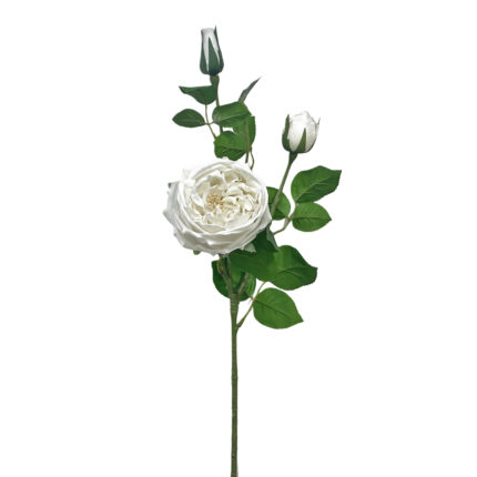 GNW White Artificial David Austin Rose Real Touch QH-94