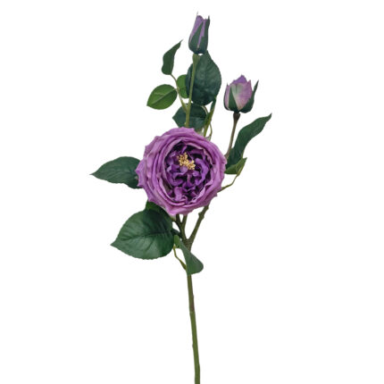 GNW Purple Artificial David Austin Rose Real Touch QH-96