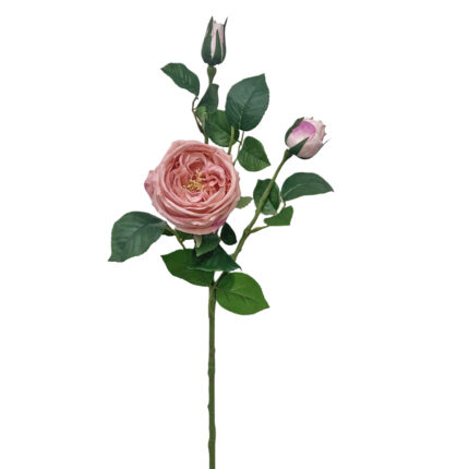 GNW Dark Pink Artificial David Austin Rose Real Touch QH-98