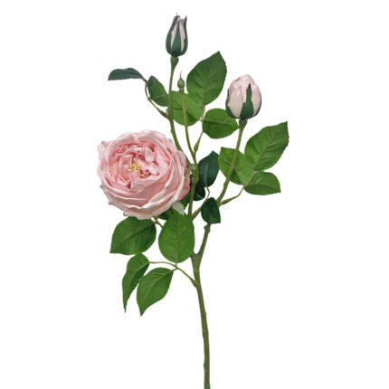 GNW Pink Artificial David Austin Rose Real Touch QH-95
