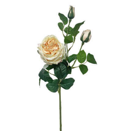 GNW Yellow Artificial David Austin Rose Real Touch QH-99