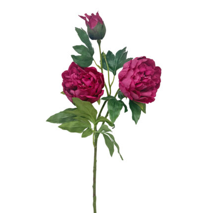 GNW Fuchsia Artificial 3-head Garden Rose Real Touch QH-116