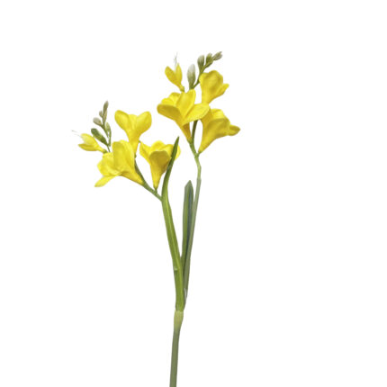 GNW Yellow Artificial Morning Glory SG-25