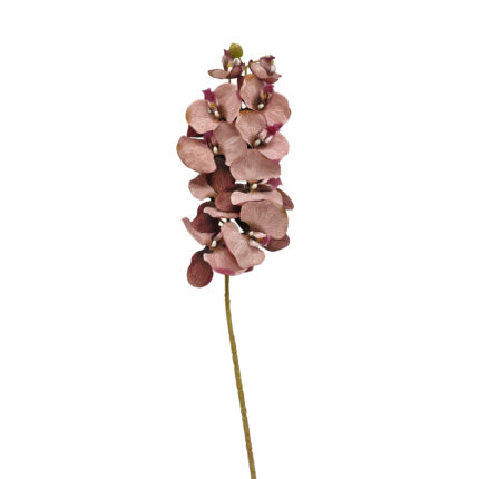 GNW Brown Artificial Orchids HDX-31