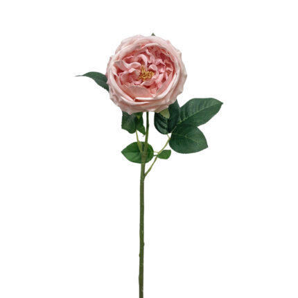 GNW Pink Artificial Austin Rose Real Touch QH-90