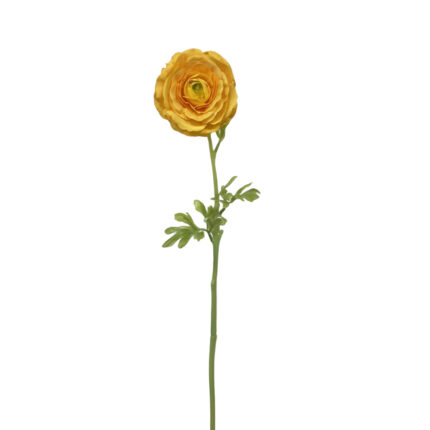 GNW Yellow Artificial Single Ranunculus Real Touch GYX-37