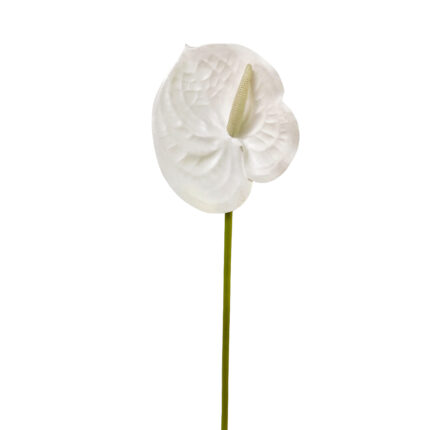 GNW White Artificial Anthurium SM-01