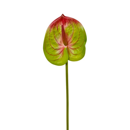 GNW Gradient Red Artificial Anthurium SM-06