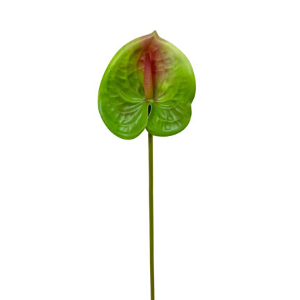 GNW Green Artificial Anthurium SM-08