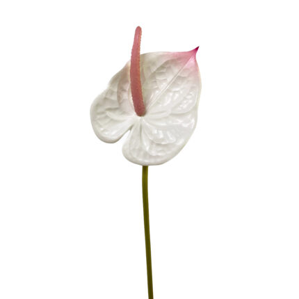 GNW White Artificial Anthurium Real Touch XS-27