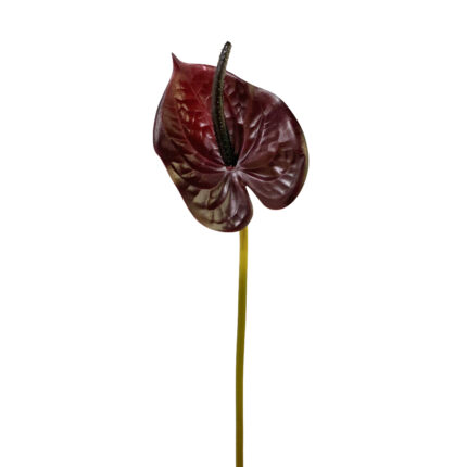 GNW Dark Red Artificial Anthurium Real Touch XS-31
