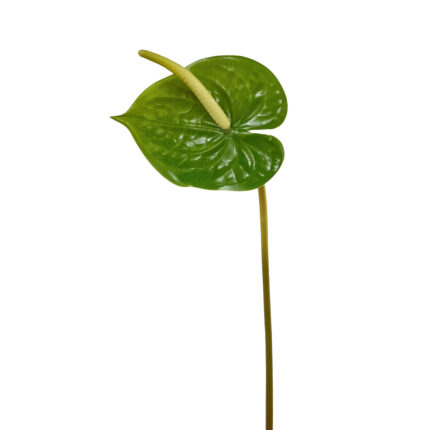 GNW Green Artificial Anthurium Real Touch XS-32