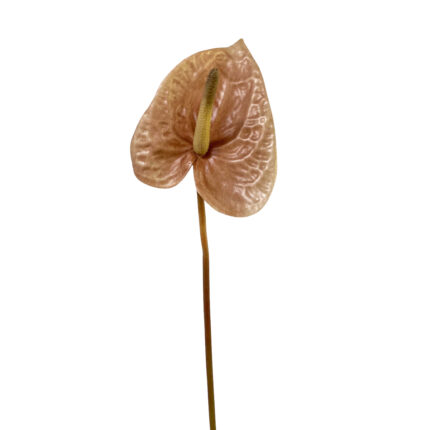 GNW Light Brown Artificial Anthurium Real Touch XS-33