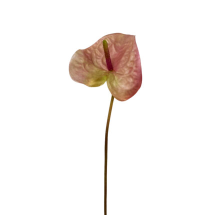 GNW Gradient Pink Artificial Anthurium Real Touch XS-35