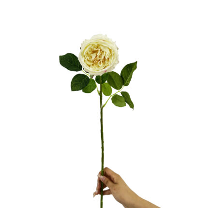 GNW Champagne Artificial Austin Rose Real Touch QH-88