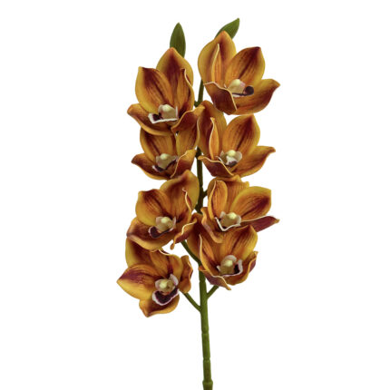 GNW Brown Artificial 8-head Cymbidium Hybrid HD-17
