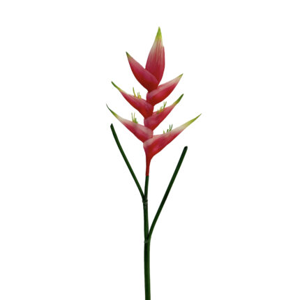 GNW Dark Pink Artificial Bird Of Paradise Heliconia Flower HD-19