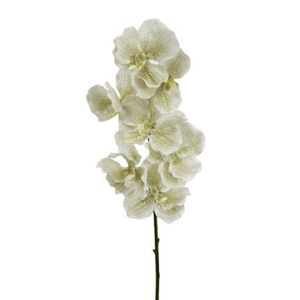 GNW White Artificial Orchids Real Touch XS-37
