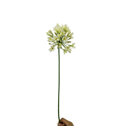 GNW White Artificial Agapanthus Africanus LZ-263