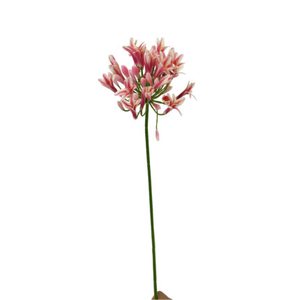 GNW Light Pink Artificial Agapanthus Africanus LZ-277