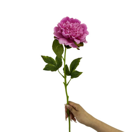 GNW Fuchsia Artificial Austin Rose Real Touch GYX-89