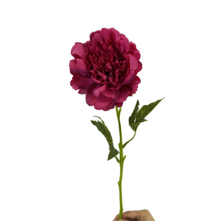 GNW Fuchsia Artificial Austin Rose Real Touch GYX-90