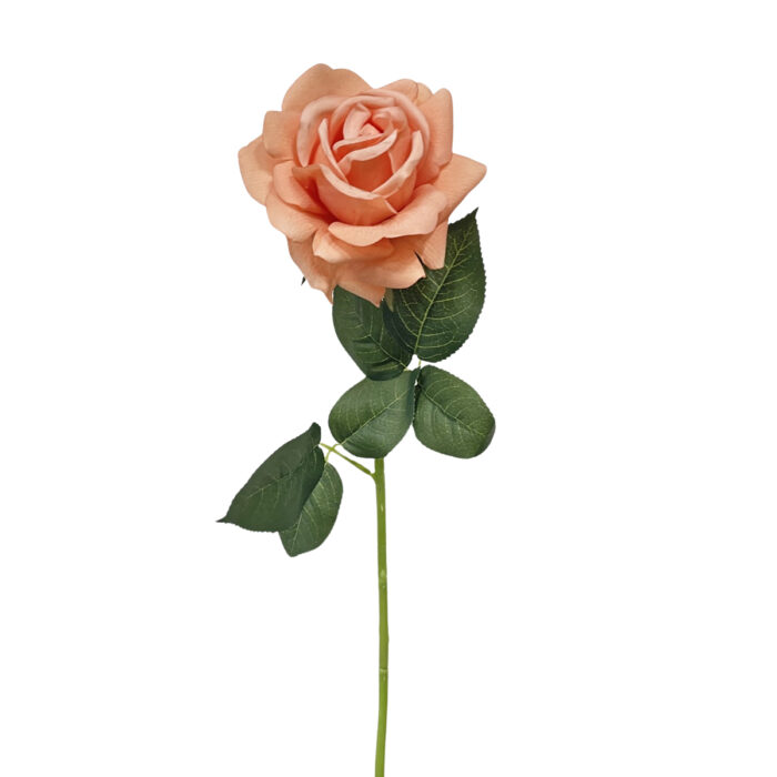 QQ图片20241109140869-17