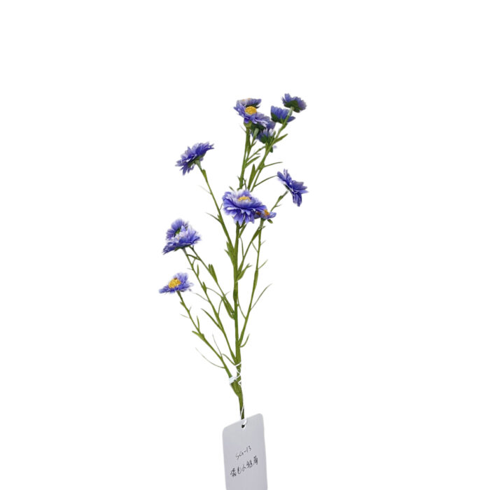 QQ图片20241109140869-35