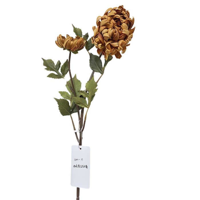 QQ图片20241109140869-7