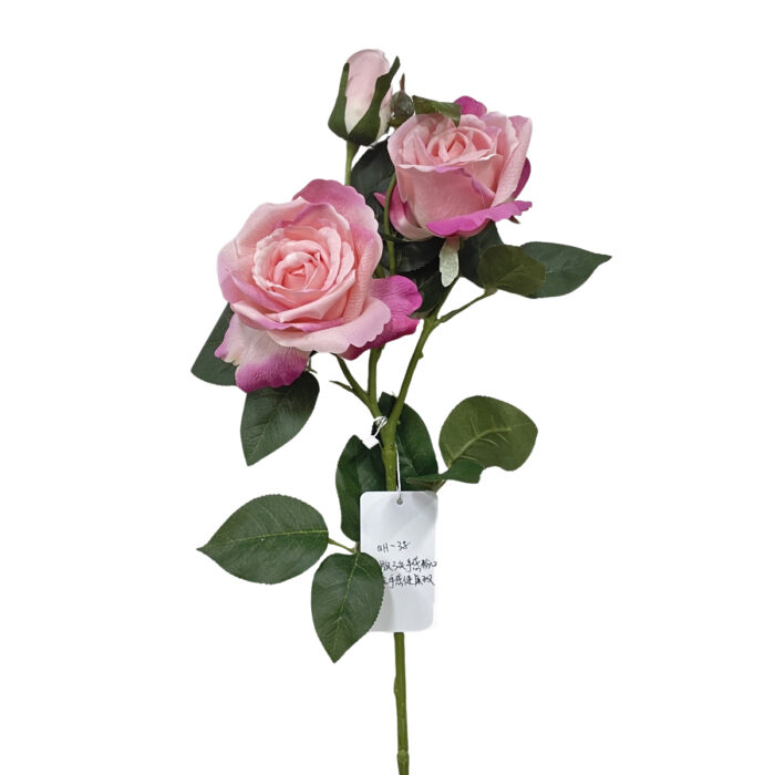 QQ图片20241109140894