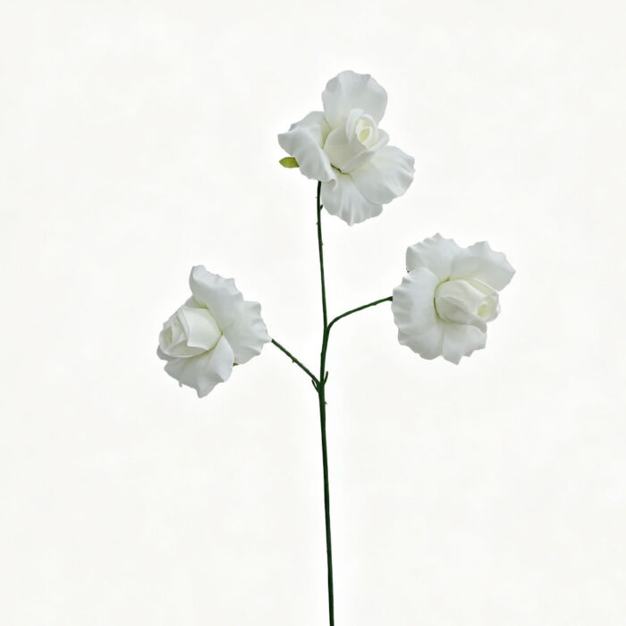 CR (14)