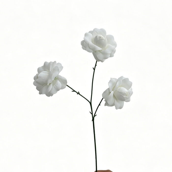 HXG (4)