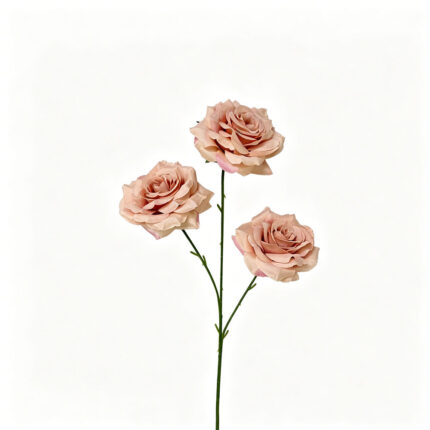 Dusty nude pink Artificial Rose Silk RZ-17