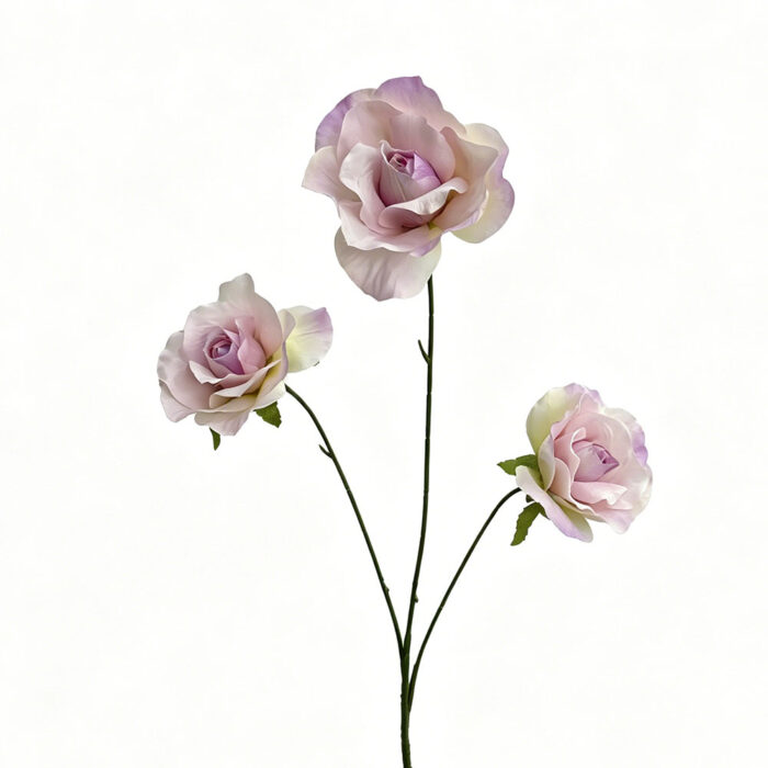 RZ (17)