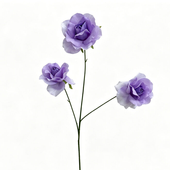 RZ (21)